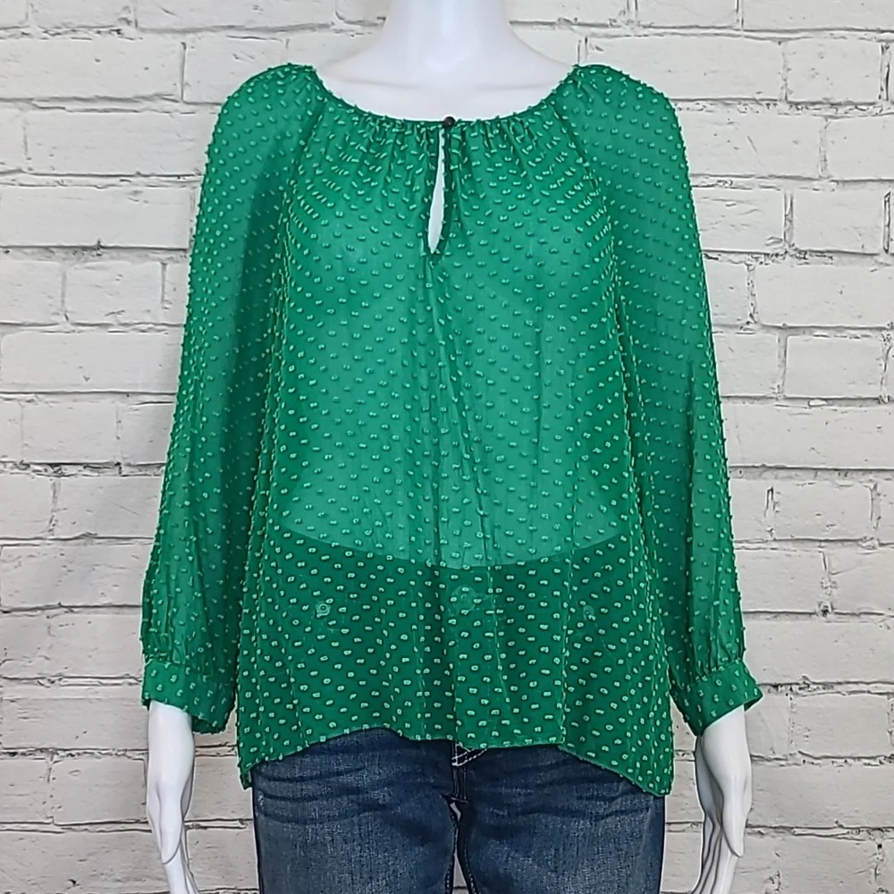 J Crew Flowy Sheer Silk Chiffon Long Sleeve Dot Blouse in Green - Picture 3 of 17